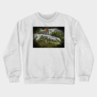 Winter Robin Crewneck Sweatshirt